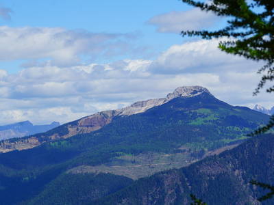 Bild 27 aus  Wastlhof  Urlaub auf dem Bauernhof