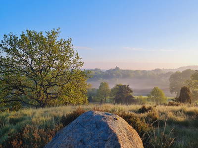 Bild 25 aus  Hof Bockelmann