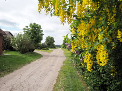 Bild 10 aus  Cohrshof