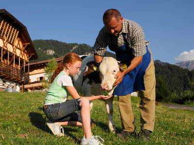 Bild 7 aus  Pristinger Hof