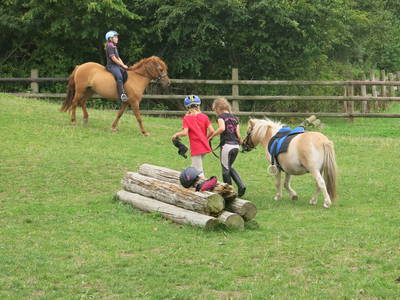 Bild 48 aus  Bernsteinreiter Hirschburg