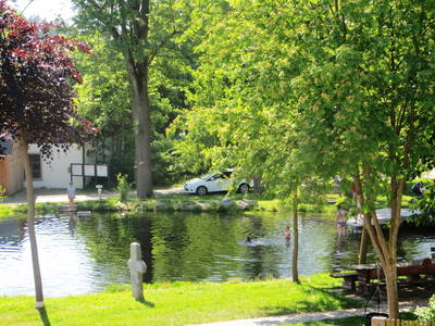 Der Schönlinder Badeteich