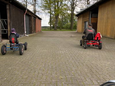 Bild 26 aus  Ferienhof Westermann