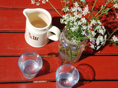 Bild 10 aus  Ferienhof Hafflandsichten auf Usedom