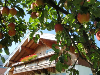 Bild 3 aus  Großrachlhof