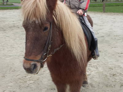 Bild 8 aus  Fredensminde Ferie