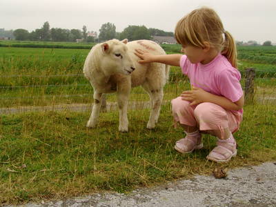Bild 9 aus  Ferienhof Op de Warft