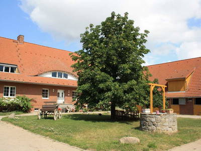 Bild 5 aus  Pferdehof Ruhnau FN