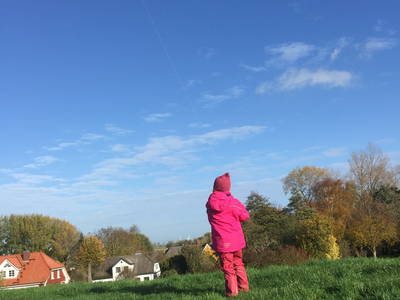 Bild 42 aus  Alter Bahnhof Vaale