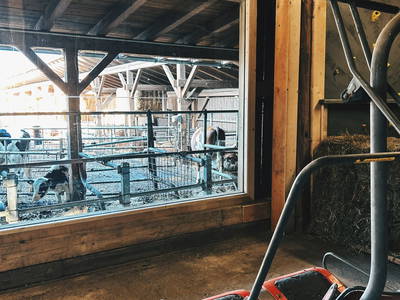 Bild 41 aus  Sinnhubgut