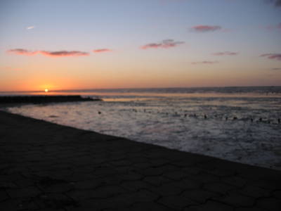 Bild 12 aus  Willrathshof