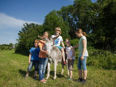 Bild 18 aus  Ostseebauernhof