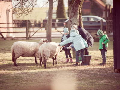 Bild 8 aus  Ferienhof middenmank