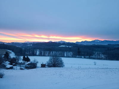 Bild 21 aus  Knoglerhof am Rinser See