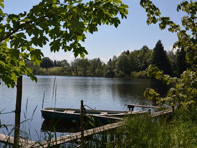 Bild 19 aus  Stroblhof