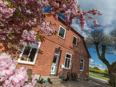Bild 6 aus  Hinrich's Ostsee Bauernhof
