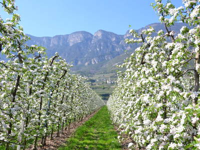 Bild 12 aus  Finkenhof