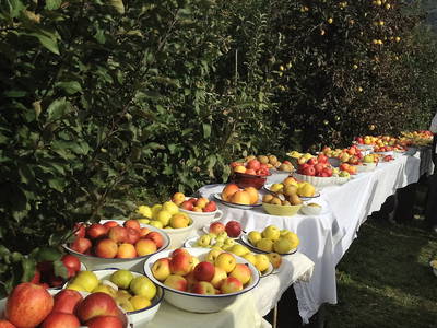 Bild 17 aus  Callhof Biohof