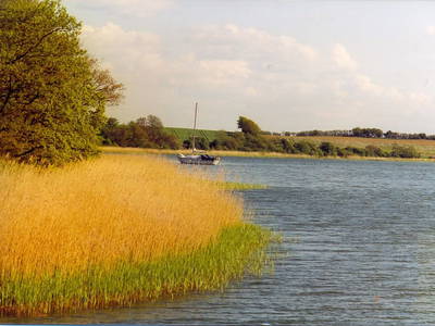 Bild 10 aus  Idyll an der Schlei
