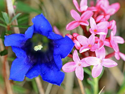 Bild 9 aus  Haus Marter   Mindestaufenthalt 6 Nächte