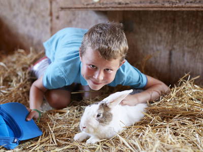 Kuschelzeit mit unseren Kaninchen