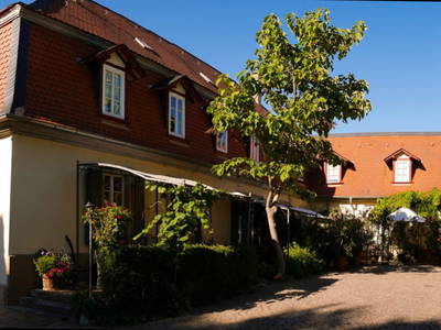 Bild 2 aus  Wein- und Feriengut Altes Landhaus, Barbara Reibold-Niederauer