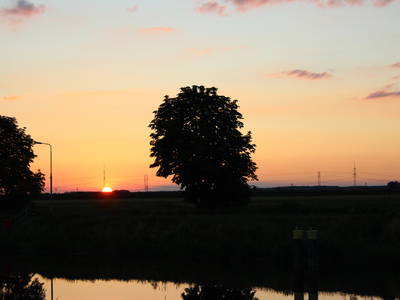 Bild 3 aus  Annas Haus am waldreichen Stadtrand Berlins