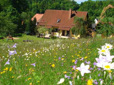 Bild 17 aus  Gästehaus im Lochautal