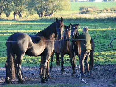 Bild 7 aus  Ferien am Schloss