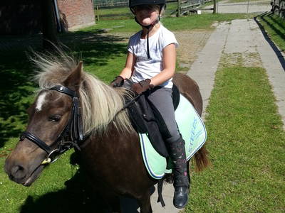 Bild 34 aus  Ferienhof Claußen