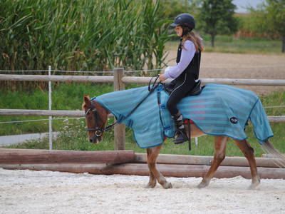 Bild 33 aus  Freizeit- und Ferienreiterhof Odenwald