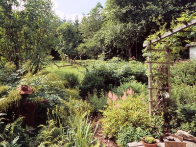 Bild 14 aus  Grashöfle