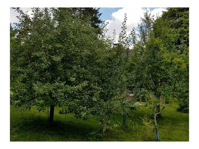 Bild 9 aus  Uttas Lodge