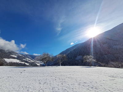 Bild 48 aus  Kreuzplon