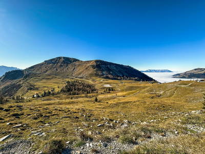 Bild 16 aus  Almchalet - Hirterhütte Trattbergalm