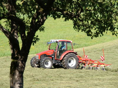 Bild 33 aus  Albachhof