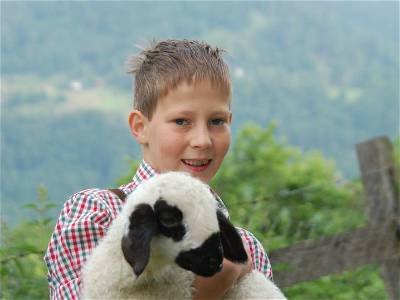Bild 43 aus Kinderbauernhof Maurachhof