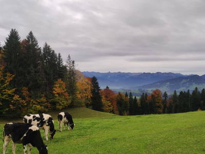 Bild 7 aus  Weitblickhof Roth