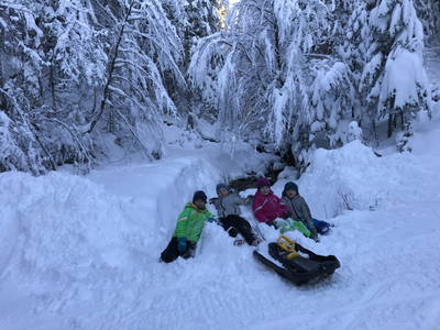 Bild 41 aus  Reitlhof am Sonnenhang   Bio-Bergbauernhof bei Salzburg 