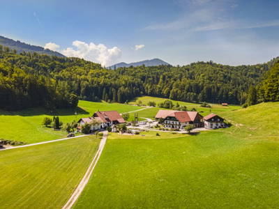 Bild 21 aus  Wohlfühlbauernhof Bambichlgut