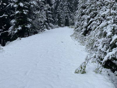 Bild 81 aus  Biohof Kroisleitner