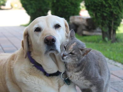 Bild 25 aus  Panorama Ferienhaus am Stopferhof