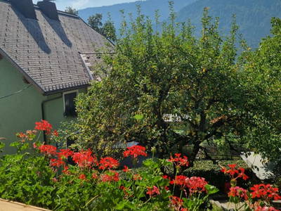 Bild 7 aus  S'Landhäuschen