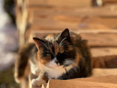 Bild 112 aus  Maierlehen