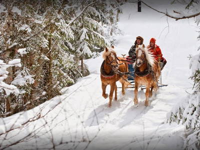 Bild 23 aus  Zauchtalerhof