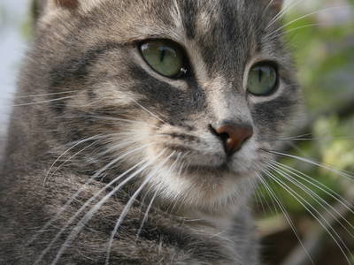 Bild 24 aus  Wendelinshof