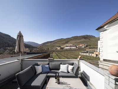 Bild 69 aus  Weingut STRAWANZER Donabaum