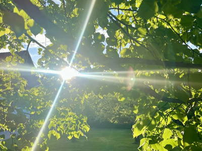 Bild 67 aus  Beim Leben