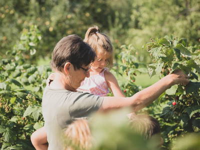 Bild 50 aus  Drittlhof