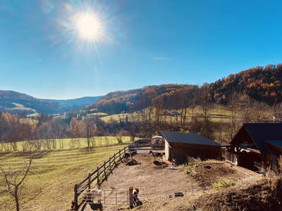 Bild 171 aus  Almchalet Nikola